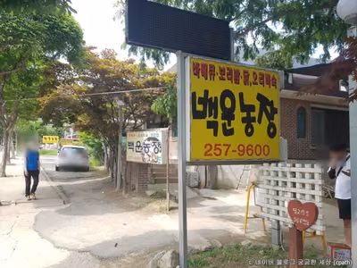 백운주말농장