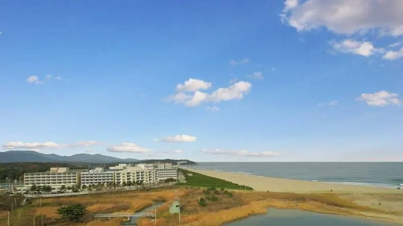 양양비치콘도