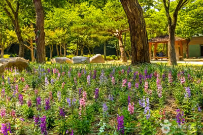 대구앞산공원