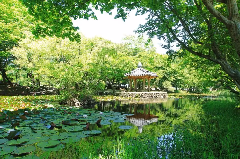 고성 장산숲