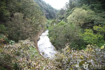 삼척 초당굴