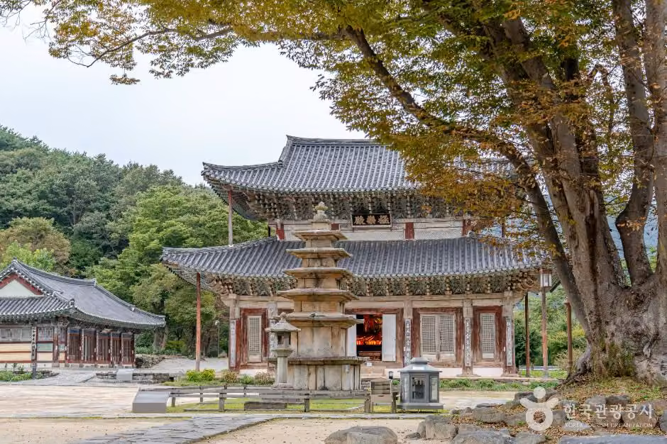 무량사(부여)