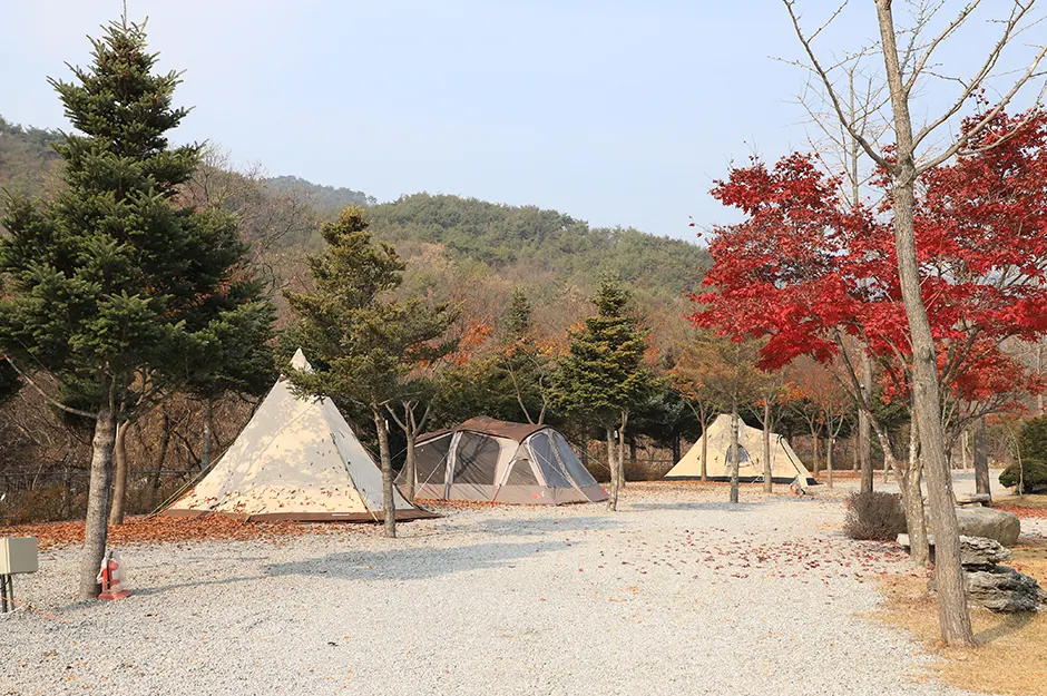프라임캠핑장