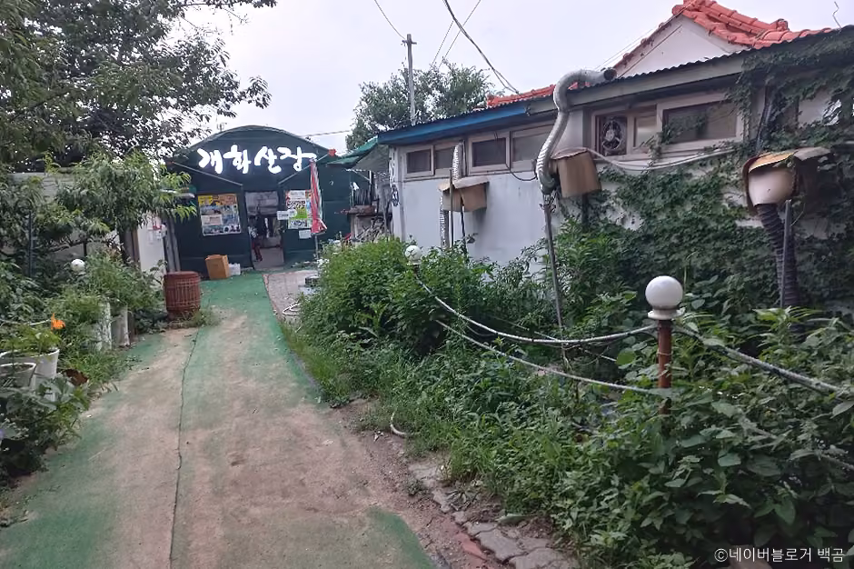 개화산장