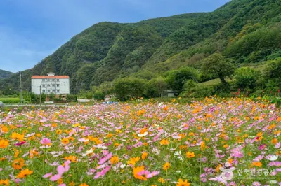 봉래산(영월)