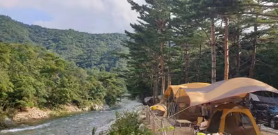 샘골솔밭야영장