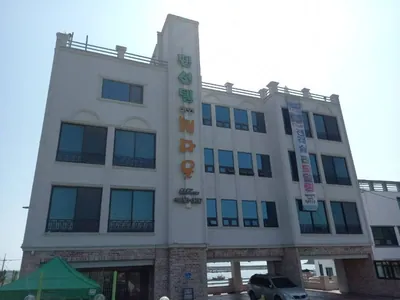 몽산포정다운