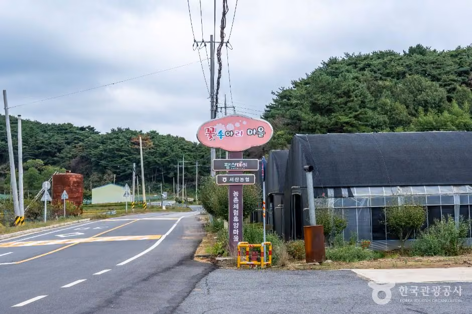 서산 꽃송아리마을