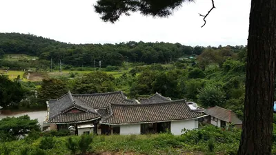 백미응서재