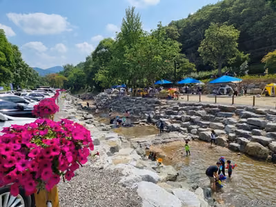 청학밸리리조트