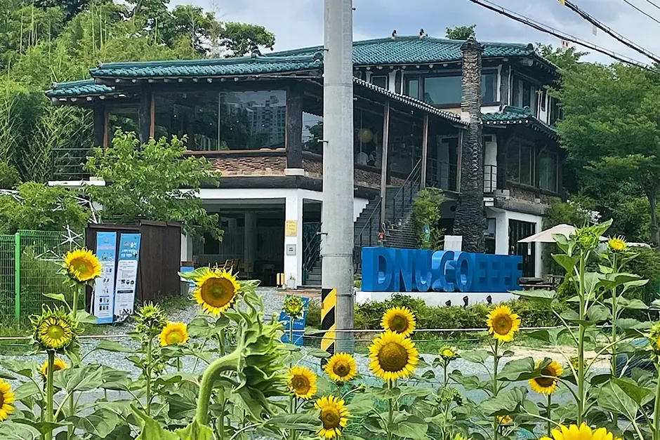 디앤유커피 본점