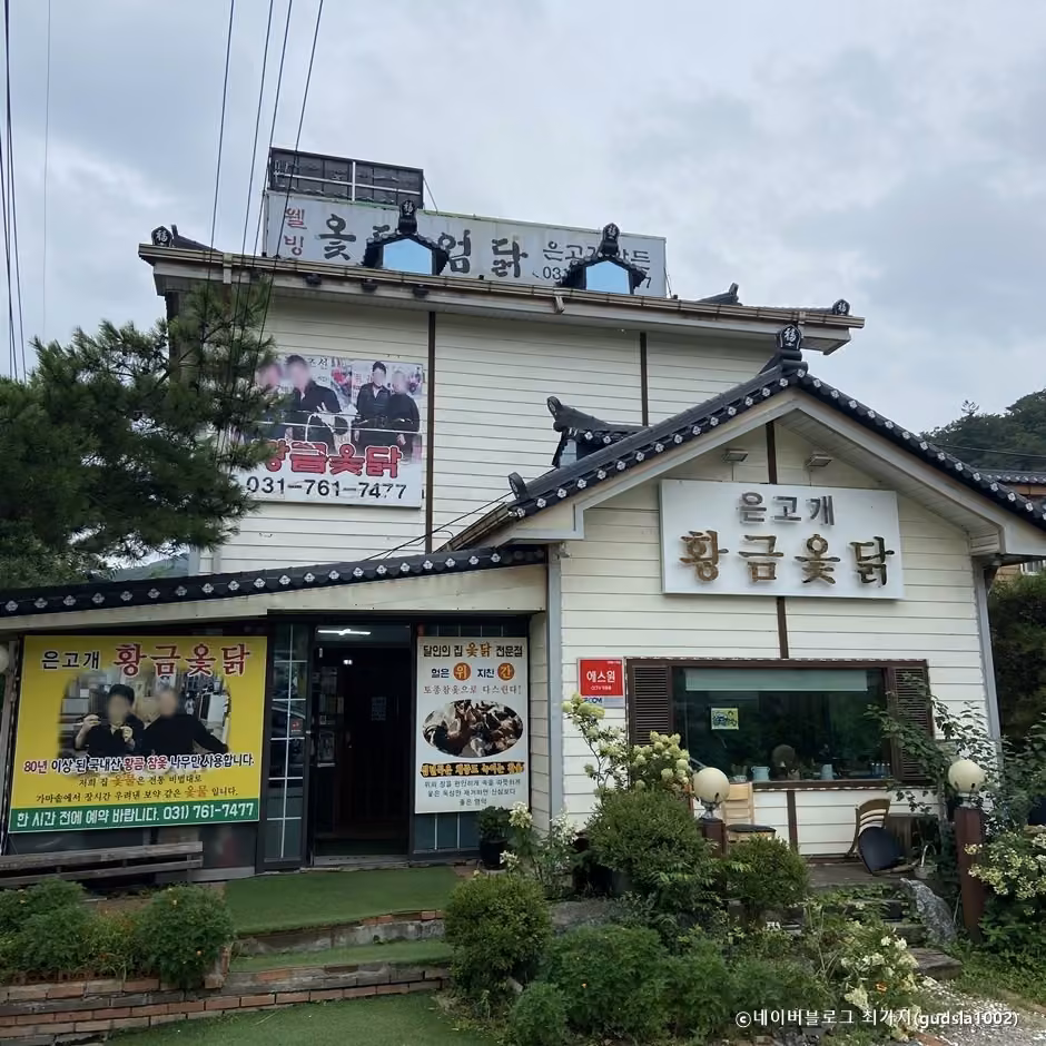 은고개황금옻닭