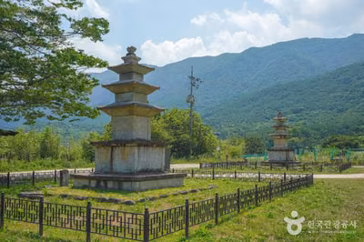 산청 단속사지 동 삼층석탑