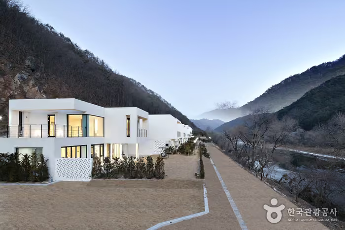 비브릿지