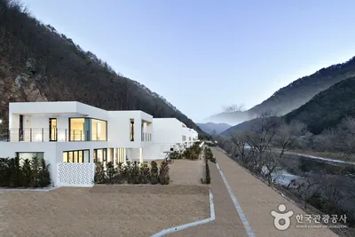 비브릿지