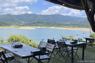 상록수
